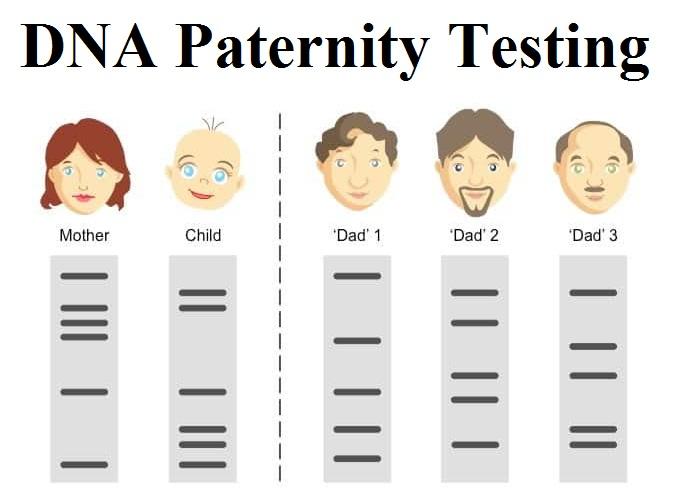<strong>When Is the Best Time to Take a Paternity Test?</strong>